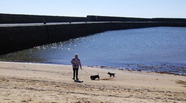St Andrews & the Fishing Villages of Fife Small-Group Day Tour from Edinburgh - Image 16