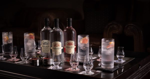 Edinburgh: Gin Tasting Experience with a Perfect Serve