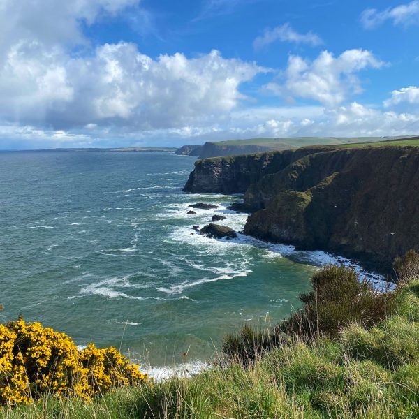 Whisky, Coasts and Wildlife from Inverness - Image 5