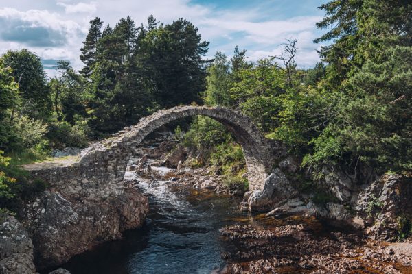 Whisky, Coasts and Wildlife from Inverness - Image 2